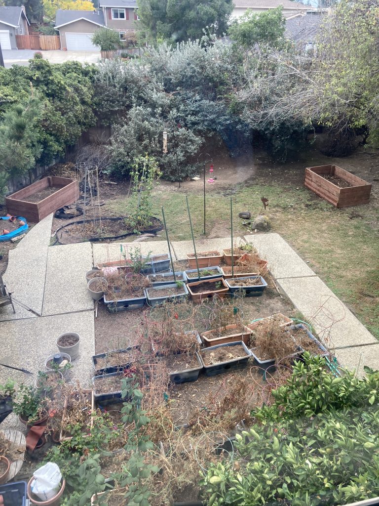 My garden from above